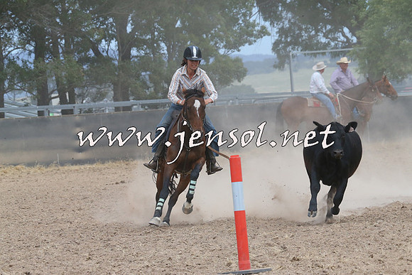 BraidwoodCampdraft2014_1363