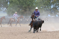 BraidwoodCampdraft2014_1328