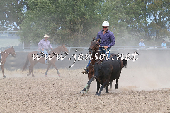 BraidwoodCampdraft2014_1328