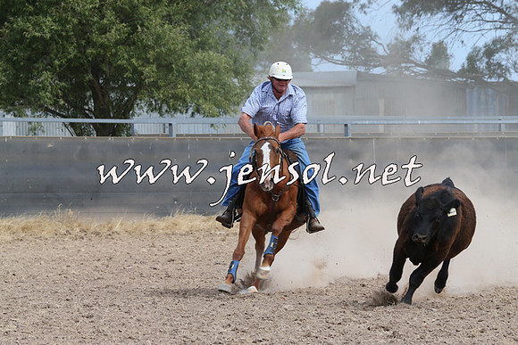 BraidwoodCampdraft2014_1535