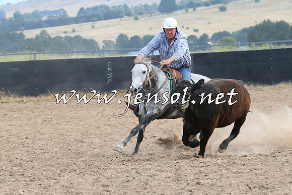 BraidwoodCampdraft2014_1580