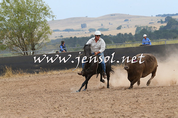 BraidwoodCampdraft2014_1483