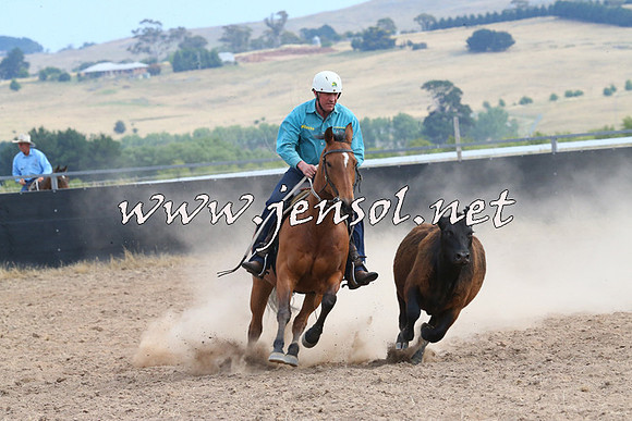 BraidwoodCampdraft2014_1566