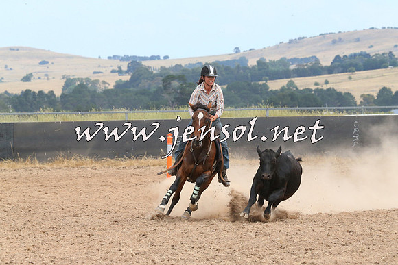 BraidwoodCampdraft2014_1359
