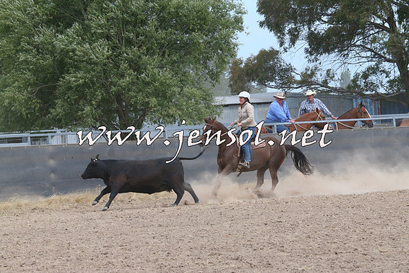 BraidwoodCampdraft2014_1492