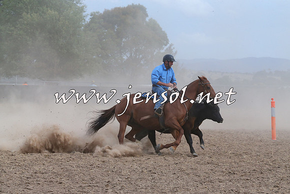 BraidwoodCampdraft2014_1556