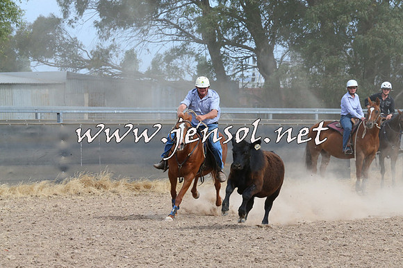 BraidwoodCampdraft2014_1529