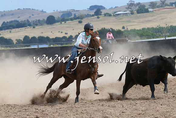 BraidwoodCampdraft2014_1499