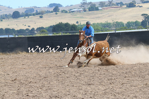 BraidwoodCampdraft2014_1618