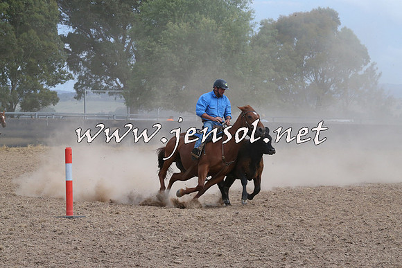 BraidwoodCampdraft2014_1553