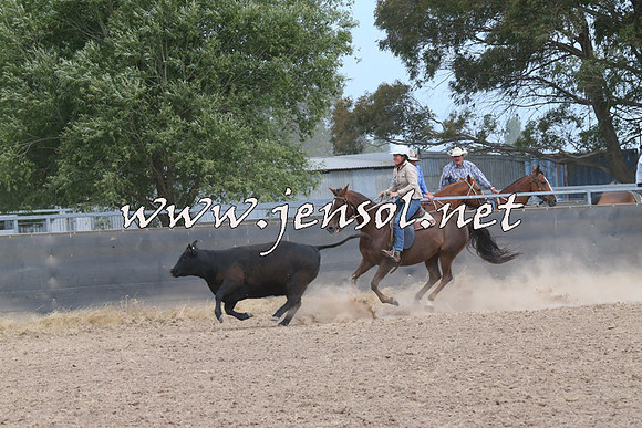BraidwoodCampdraft2014_1493