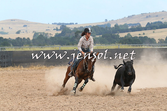 BraidwoodCampdraft2014_1354