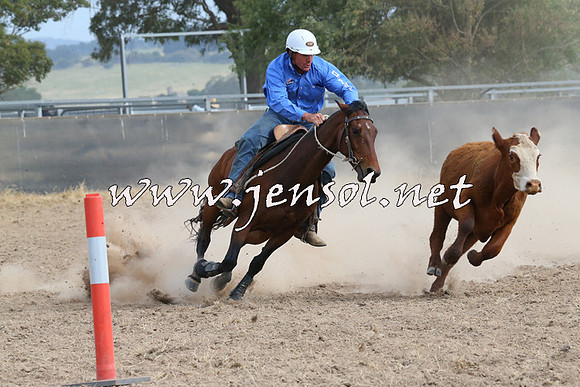 BraidwoodCampdraft2014_1604