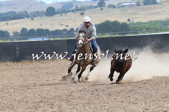 BraidwoodCampdraft2014_1544