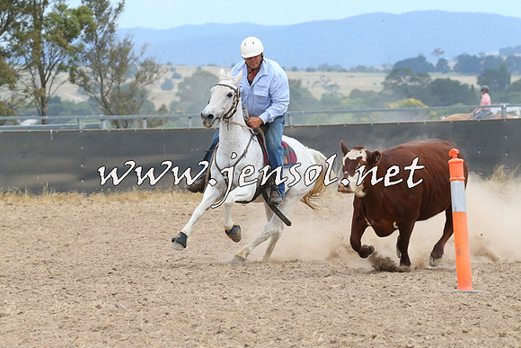 BraidwoodCampdraft2014_1392