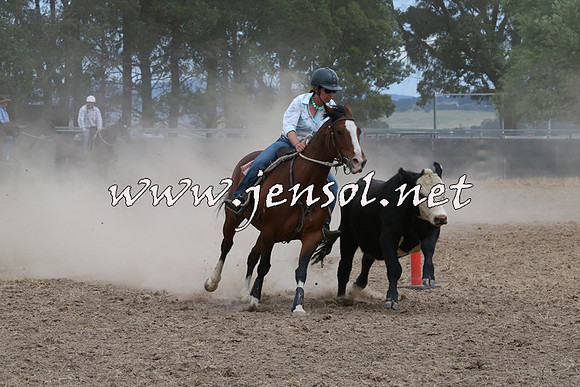 BraidwoodCampdraft2014_1391