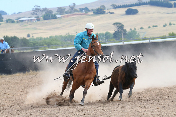 BraidwoodCampdraft2014_1567