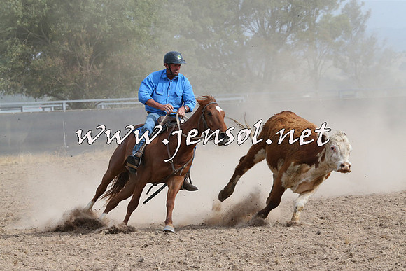 BraidwoodCampdraft2014_1629