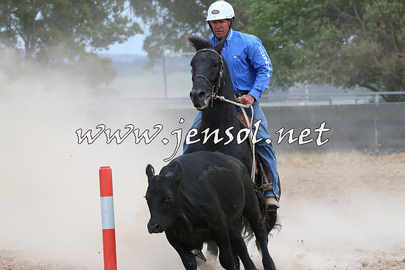 BraidwoodCampdraft2014_1417