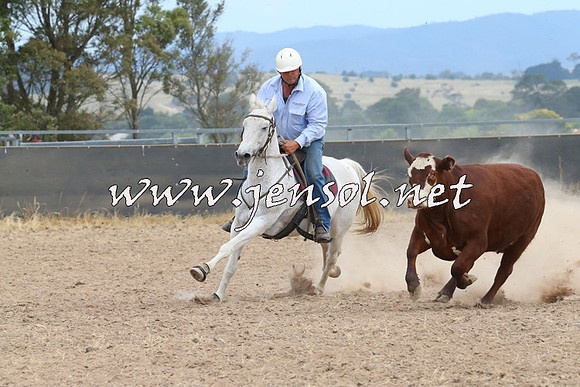 BraidwoodCampdraft2014_1393