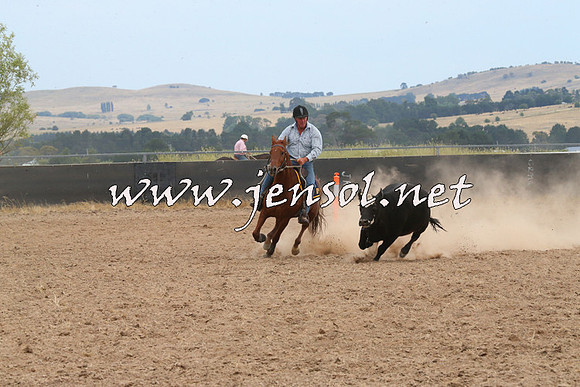 BraidwoodCampdraft2014_1439