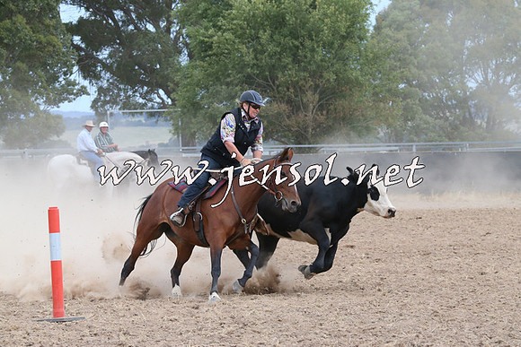 BraidwoodCampdraft2014_1473