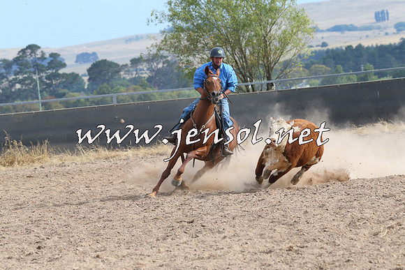 BraidwoodCampdraft2014_1633