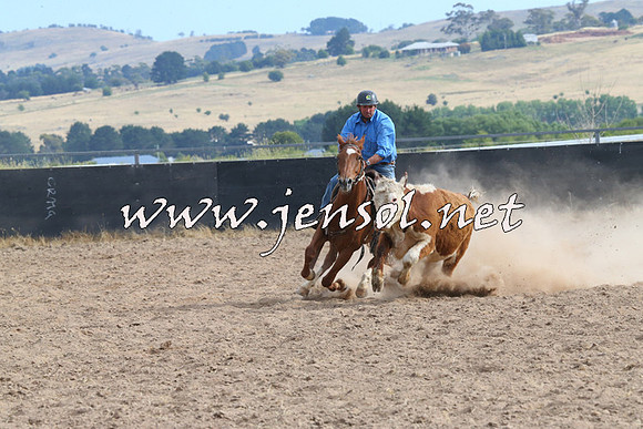 BraidwoodCampdraft2014_1624