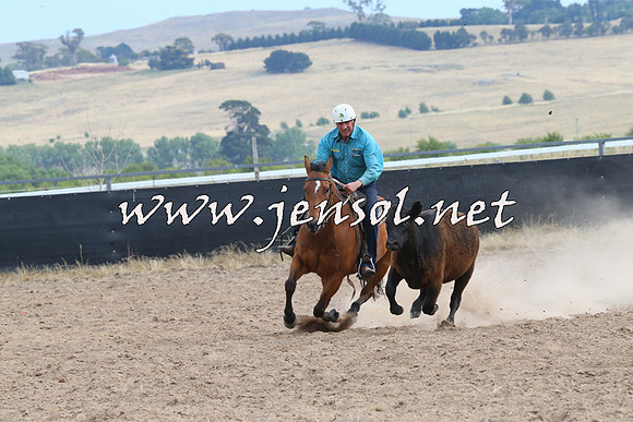 BraidwoodCampdraft2014_1570