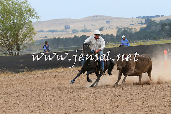 BraidwoodCampdraft2014_1480