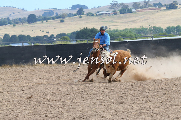 BraidwoodCampdraft2014_1619