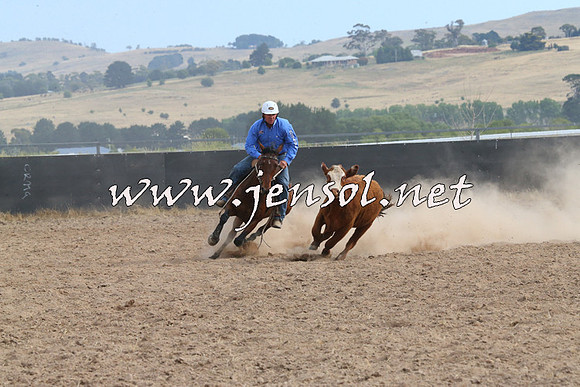 BraidwoodCampdraft2014_1592