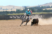 BraidwoodCampdraft2014_1338
