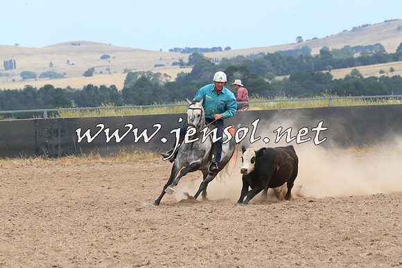 BraidwoodCampdraft2014_1338