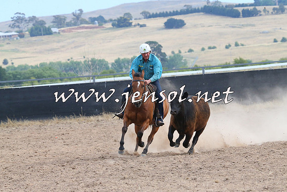 BraidwoodCampdraft2014_1569