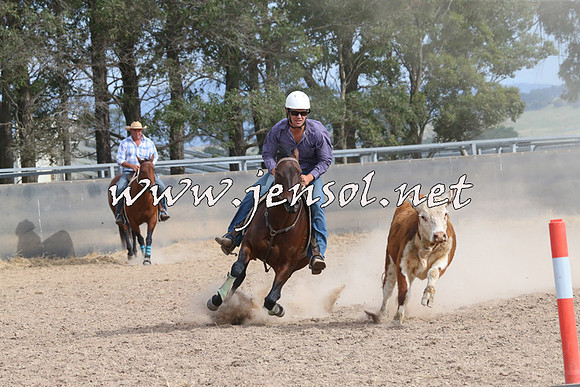 BraidwoodCampdraft2014_1610