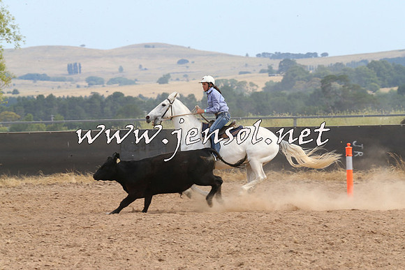 BraidwoodCampdraft2014_1541