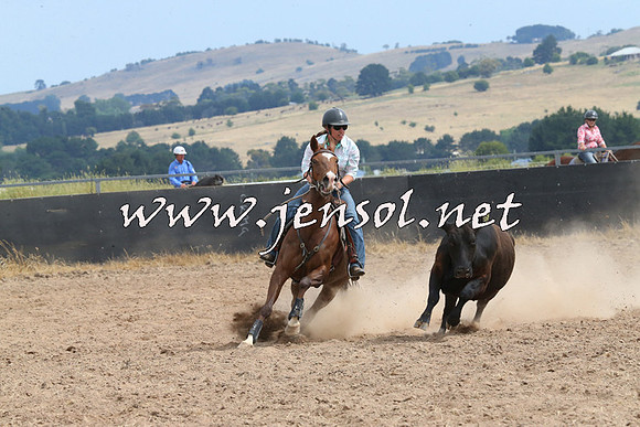 BraidwoodCampdraft2014_1500