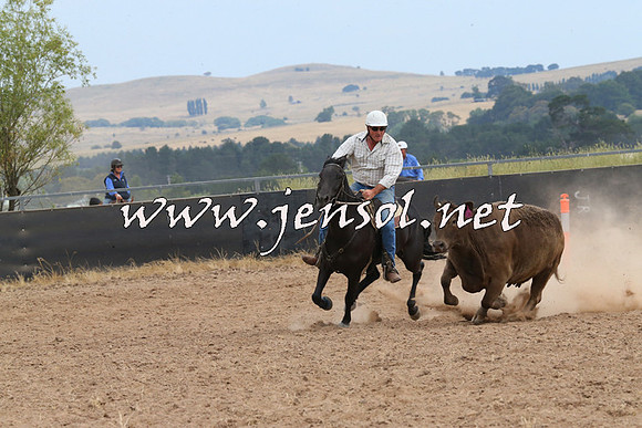BraidwoodCampdraft2014_1482