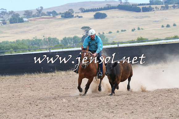 BraidwoodCampdraft2014_1573