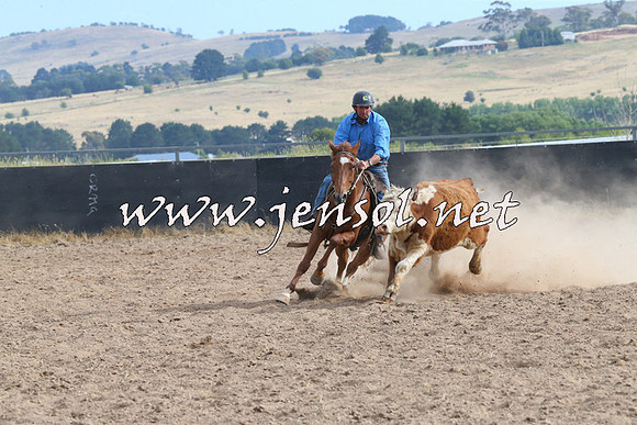 BraidwoodCampdraft2014_1625