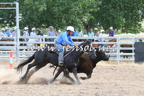 BraidwoodCampdraft2014_1523
