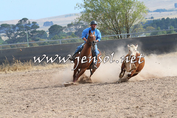 BraidwoodCampdraft2014_1638