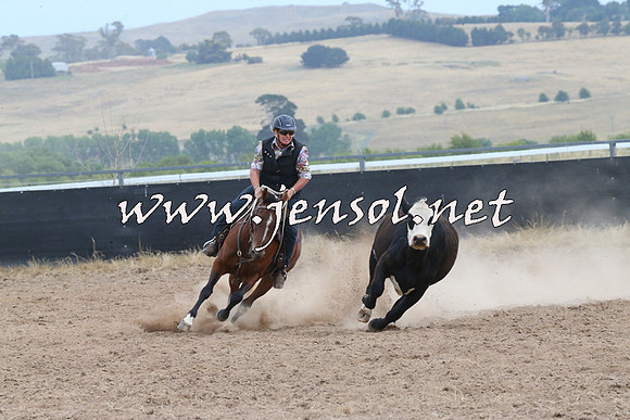 BraidwoodCampdraft2014_1457
