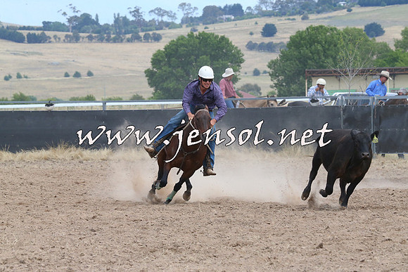 BraidwoodCampdraft2014_1322