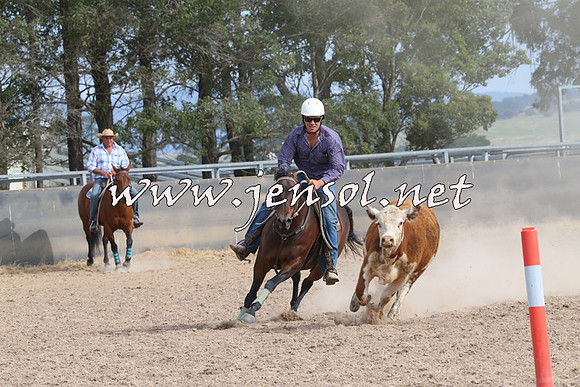 BraidwoodCampdraft2014_1609