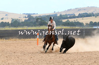 BraidwoodCampdraft2014_1362