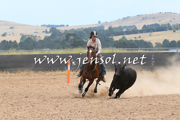 BraidwoodCampdraft2014_1362