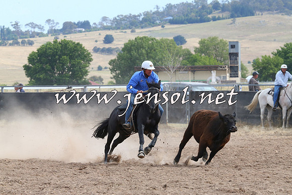 BraidwoodCampdraft2014_1518