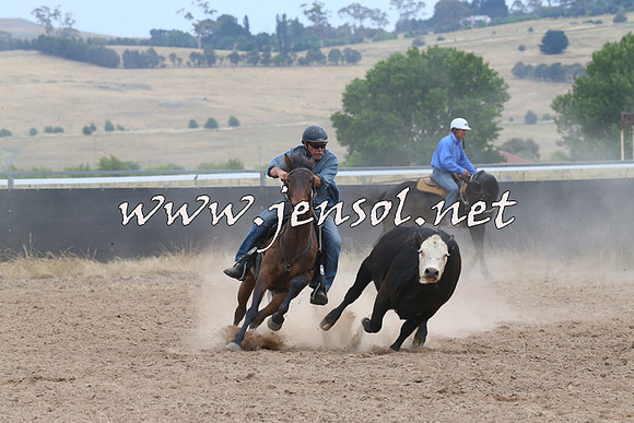 BraidwoodCampdraft2014_1430